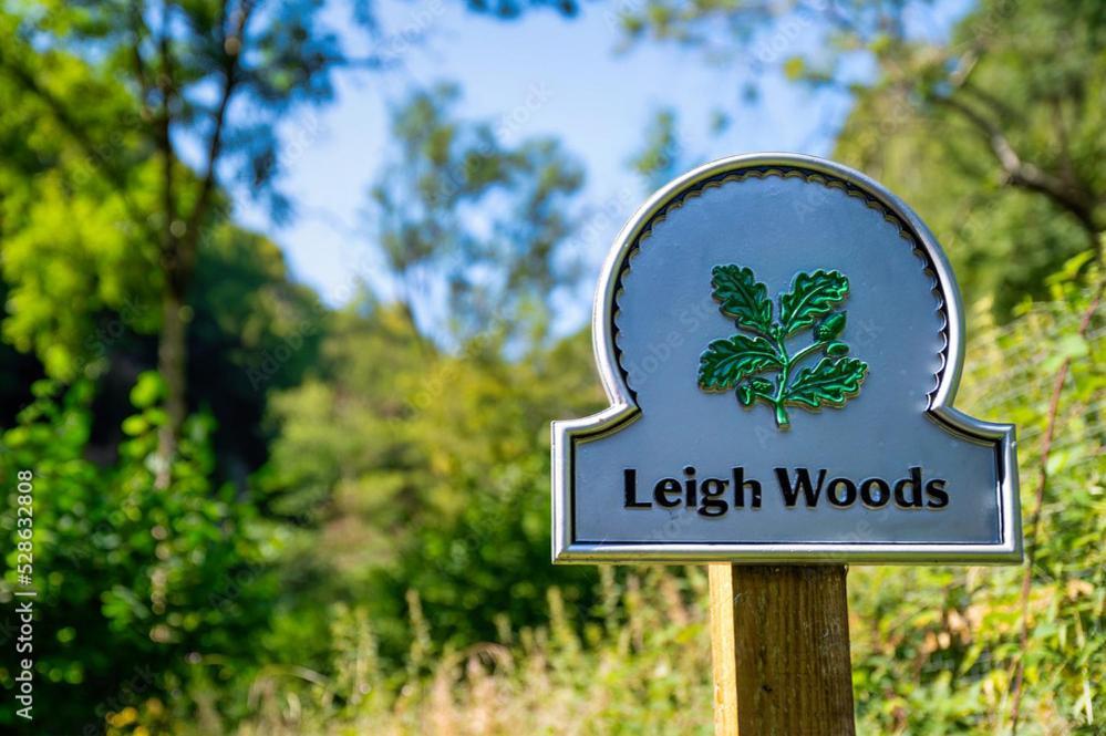 Peaceful Woodland Retreat Near Clifton, Bristolヴィラ エクステリア 写真